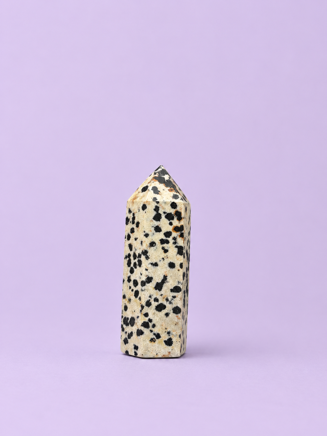 Dalmatian Jasper Point