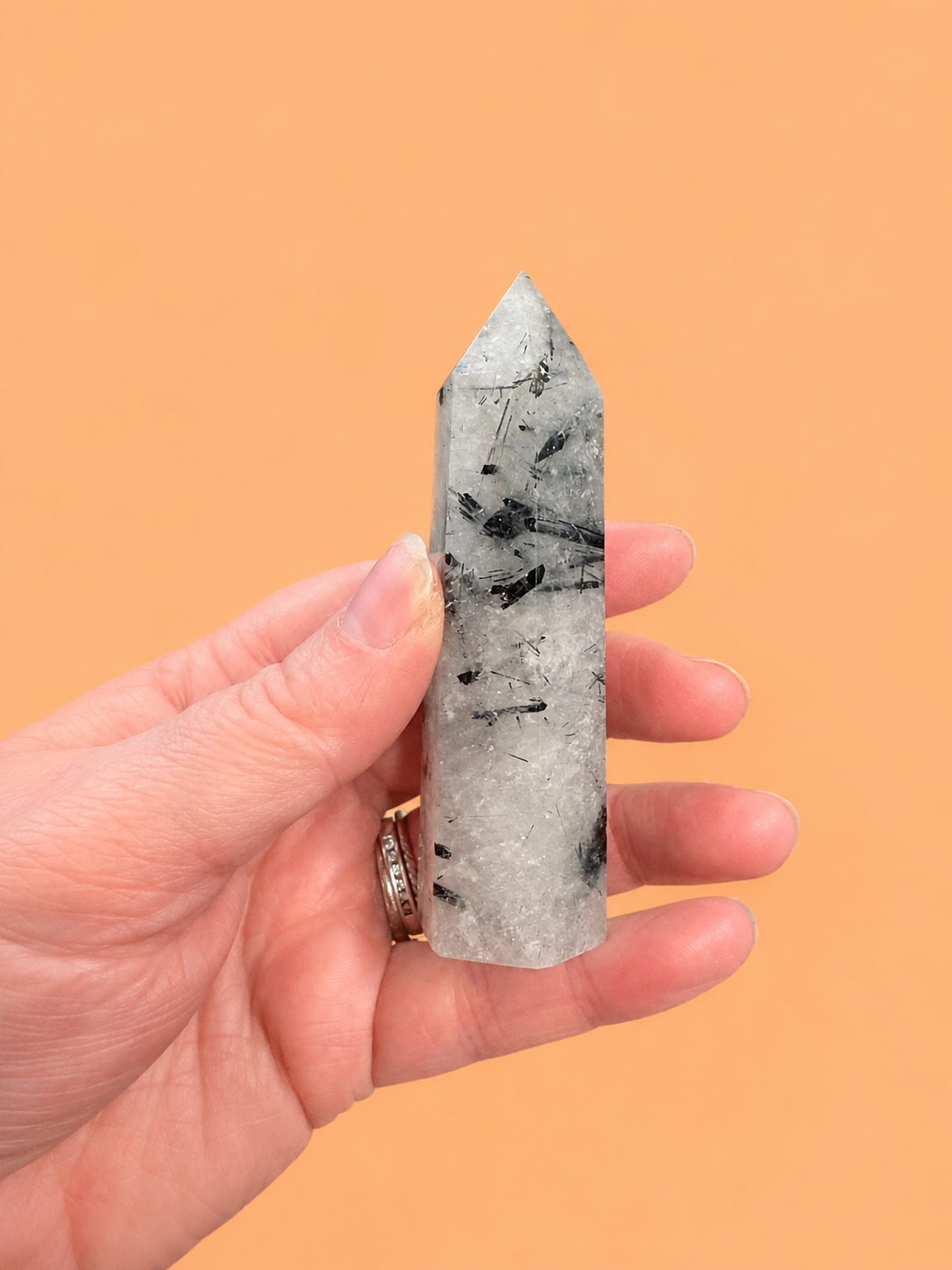 Quartz with Tourmaline Point