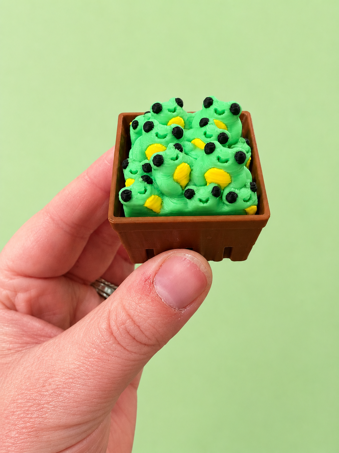 Crate of Frogs Fidget Clicker