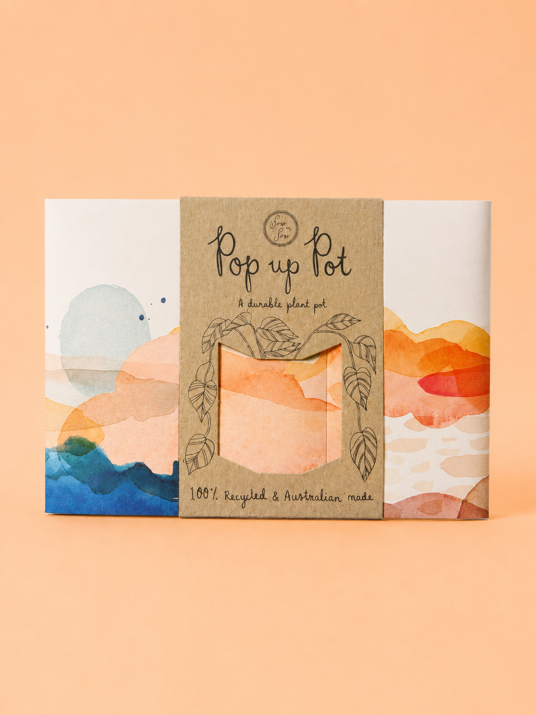 CLEARANCE POP UP POTS